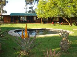Aloe Cabins