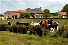 Comfortabel Hotel Wippelsdaal ***
